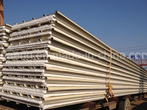 Panneau &quot;sandwich&quot; de la t&ocirc;le d'acier de couleur EPS/PU d'usine de la Chine