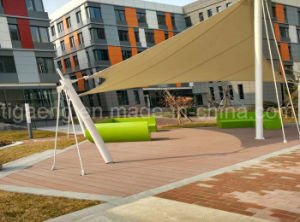 Recyclable Facile-Monter le Decking en plastique en bois du compos&eacute; WPC DIY