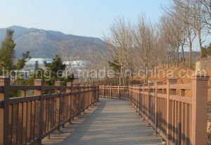 &Eacute;tage ext&eacute;rieur imperm&eacute;able &agrave; l'eau respectueux de l'environnement &agrave; extr&eacute;mit&eacute; &eacute;lev&eacute; de WPC Balcocony