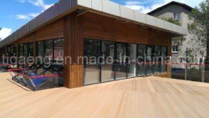 Panneau de mur facile renouvelable de l'&eacute;preuve WPC de termite de surface de nature d'installation