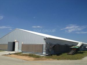 Structure m&eacute;tallique pr&eacute;fabriqu&eacute;e durable de Chambre de poulet pour la volaille