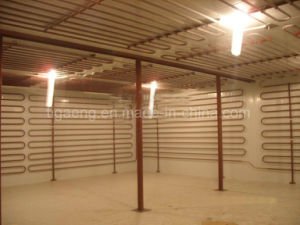 Panneau &quot;sandwich&quot; d'unit&eacute; centrale/plaque pour le cong&eacute;lateur/chambre froide/entreposage au froid