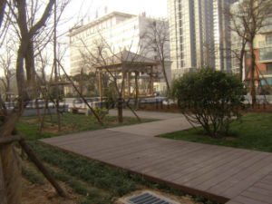 Mod&egrave;le personnalis&eacute;/usine r&eacute;utilisant le Decking en plastique en bois WPC de bonne qualit&eacute;