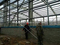 Construction multi de structure m&eacute;tallique d'envergure de ferme de poulet d'&eacute;preuve de rouille