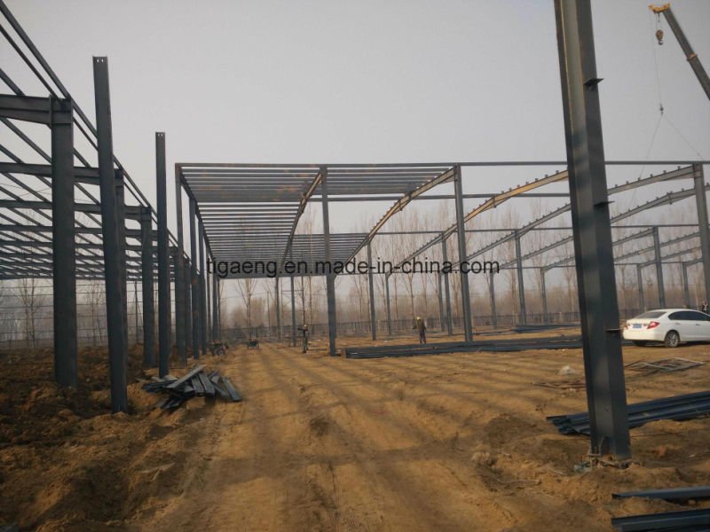 Moisture Proof Quickly Erectable Warehouse Building