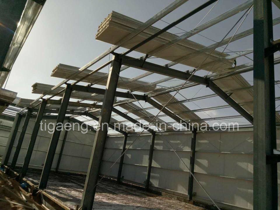 Light Steel Construction Long Span Steel Structure Go Down Warehouse