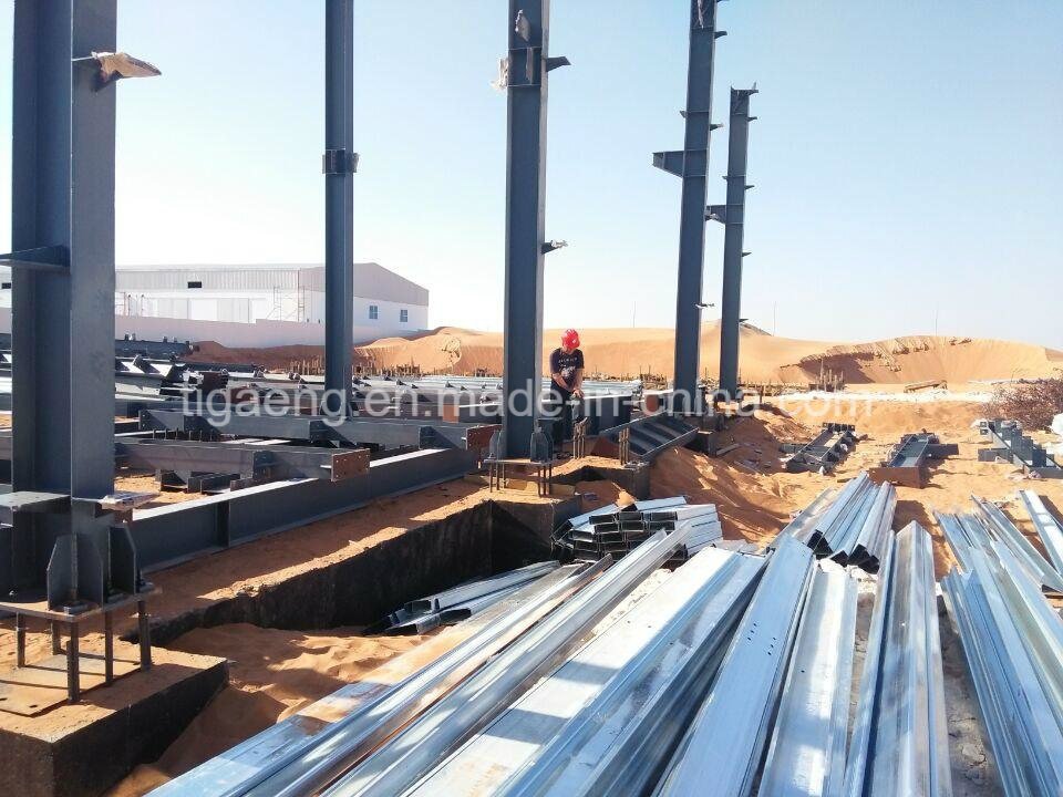 Multi Span Steel Structure Warehouse Steel Structure Workshop with Crane