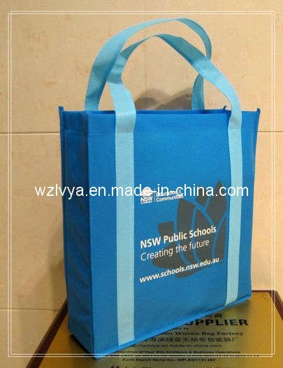 Shopping Bag (LYN55)