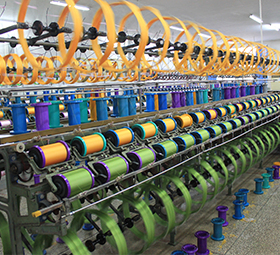 Hair,-Curly-hair,-Straight-hair,-Sound-series,-Sho_20