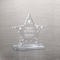 Star Cluster Etched Glass Award (#70333)