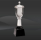 Glass Crystal Trophy Cup