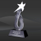 Starshot Crystal Star Award (DMC-DCS310)
