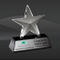 Standing Crystal Star Award (D-CRY313)