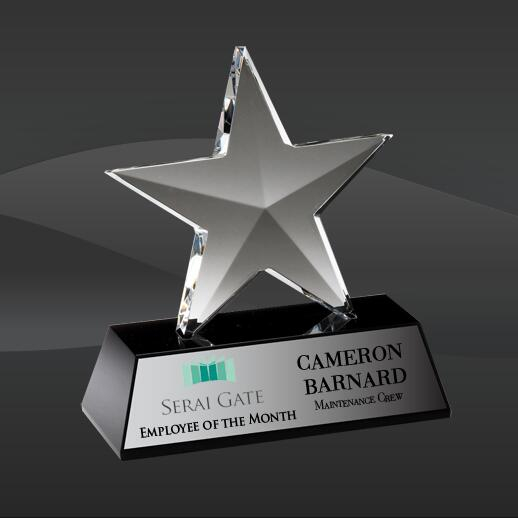 Standing Crystal Star Award (D-CRY313)