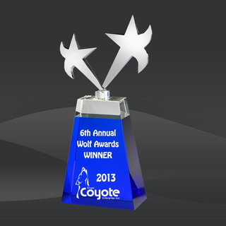 Blue Crystal Double Star Award (DMC-DCS393, DMC-DCS394, DMC-DCS395)