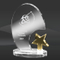Radiant Star Crystal Award (MPI-CR-A1063AM-8)