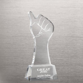 Great Job Crystal Trophy for Student Award (#76518)