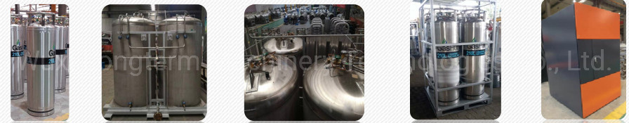 Empty Heat-Insulation Liquid Cryogenic Gas Cylinder Dewar Tank Bottle^