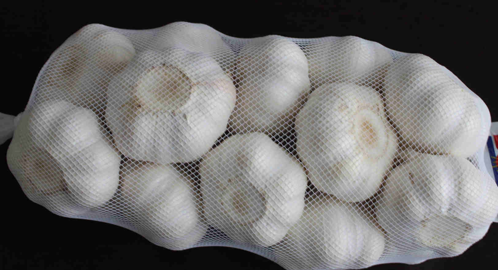 pure white garlic