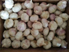 Chinese Shandong Fresh Garlic Company Manufacturers Wholesales Garlic Price