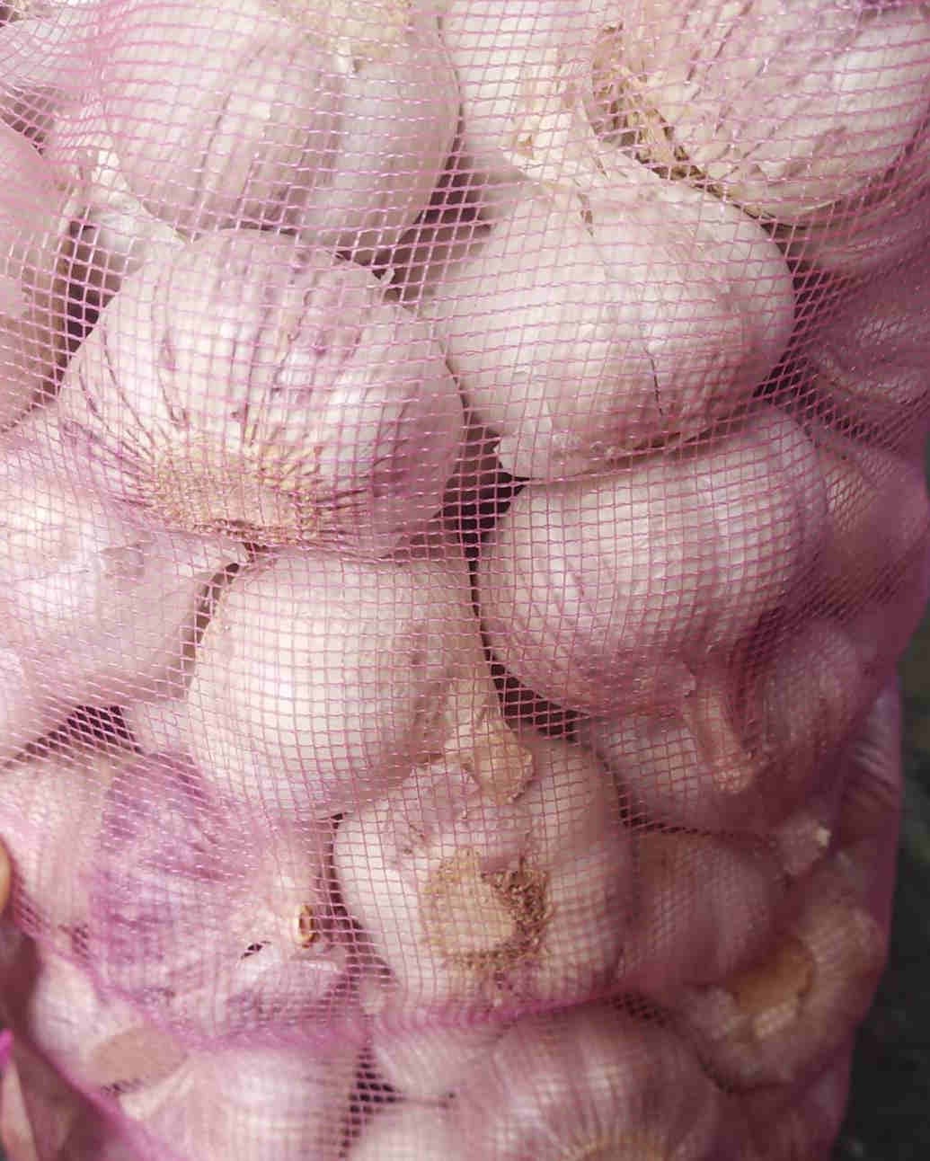11kgs normal white Chinese garlic in mesh bag