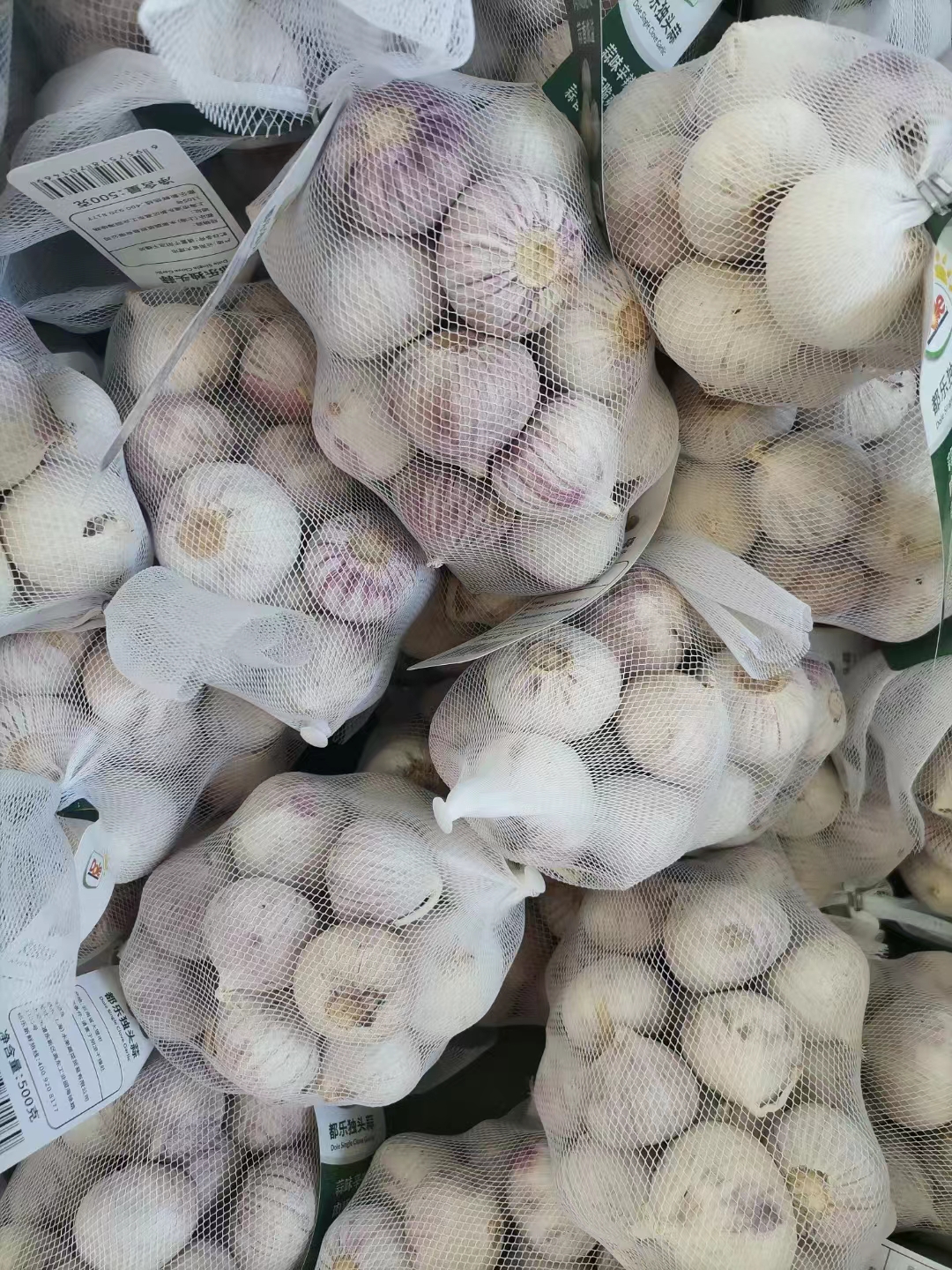 2022 Chinese fresh garlic price on AUG-10