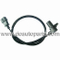 Crankshaft Postion Sensor