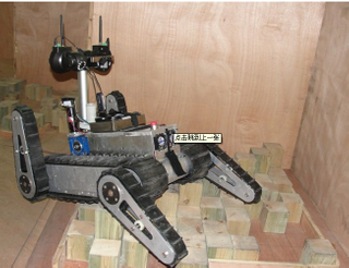 Climbing Robot Rubber Track
