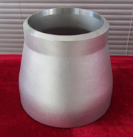 Stainless Steel Concentric Reducer (YZF-P70)