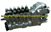 BP6025 617023280001 Longbeng fuel injection pump for Weichai X6170ZC540-2