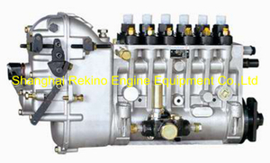 BP6666 616067360001 Longbeng fuel injection pump for Weichai 6160