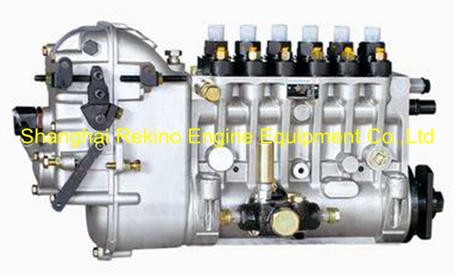 BP6666 616067360001 Longbeng fuel injection pump for Weichai 6160