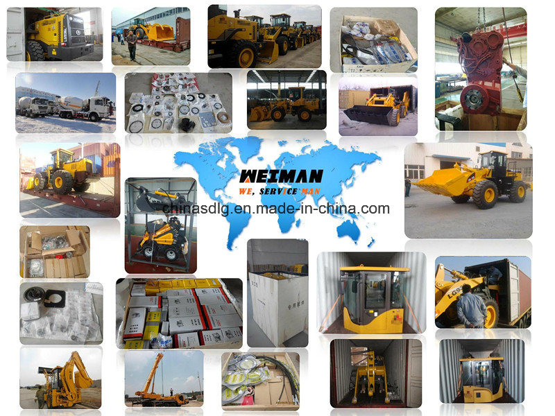 Fuel Injection Pump (unit pump) 4110001009024 Shandong Lingong