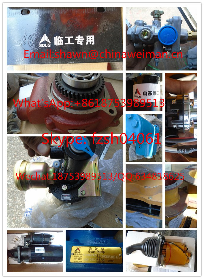 Unit Injection Pump Ndb008 4110001007067 for Sdlg Payloader