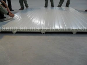 Panneau &quot;sandwich&quot; isol&eacute; par ENV structural avec le certificat de la CE