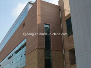 Type en bois imperm&eacute;able &agrave; l'eau mat&eacute;riel durable de WPC rev&ecirc;tement de mur de Chine