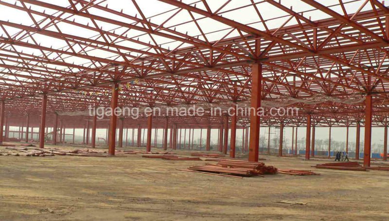 Low Cost Heavy Steel Structure Supermarket/Large Temporary Office for Egypt