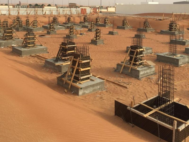 Multi Span Steel Structure Warehouse Steel Structure Workshop with Crane