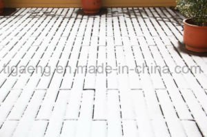 Suelo al aire libre pl&aacute;stico respetuoso del medio ambiente del Decking del compuesto WPC de madera s&oacute;lida