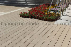Decking al aire libre inferior r&aacute;pido del mantenimiento WPC de la asamblea y del desmontaje