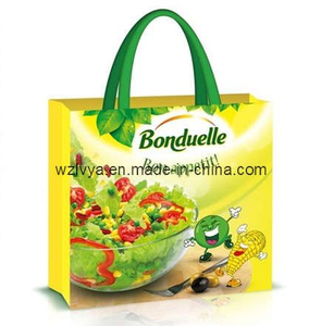 Eco-Friendly Repet Shopping Bag (LYR07)