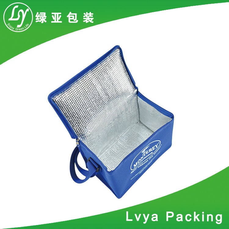 Customized logo printing insulated food delivery cooler bag