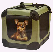 Pet Soft Crate Carrier