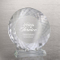 China Manufacturer Beveled Crystal Plate for Service Award Trophy