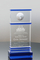 Popular Trophies Sedgwick Corporate Crystal Globe Award (5350, 5351)