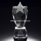 Shining Star Crystal Award