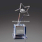 Optical Crystal Rising Star Award (CA-1165)