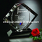 CEO Award 9 Inch Black Glass Award (CA-1147)