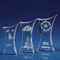 3D Laser Crystal Trophy
