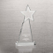 Beaming Star Crystal Trophy (#78013)